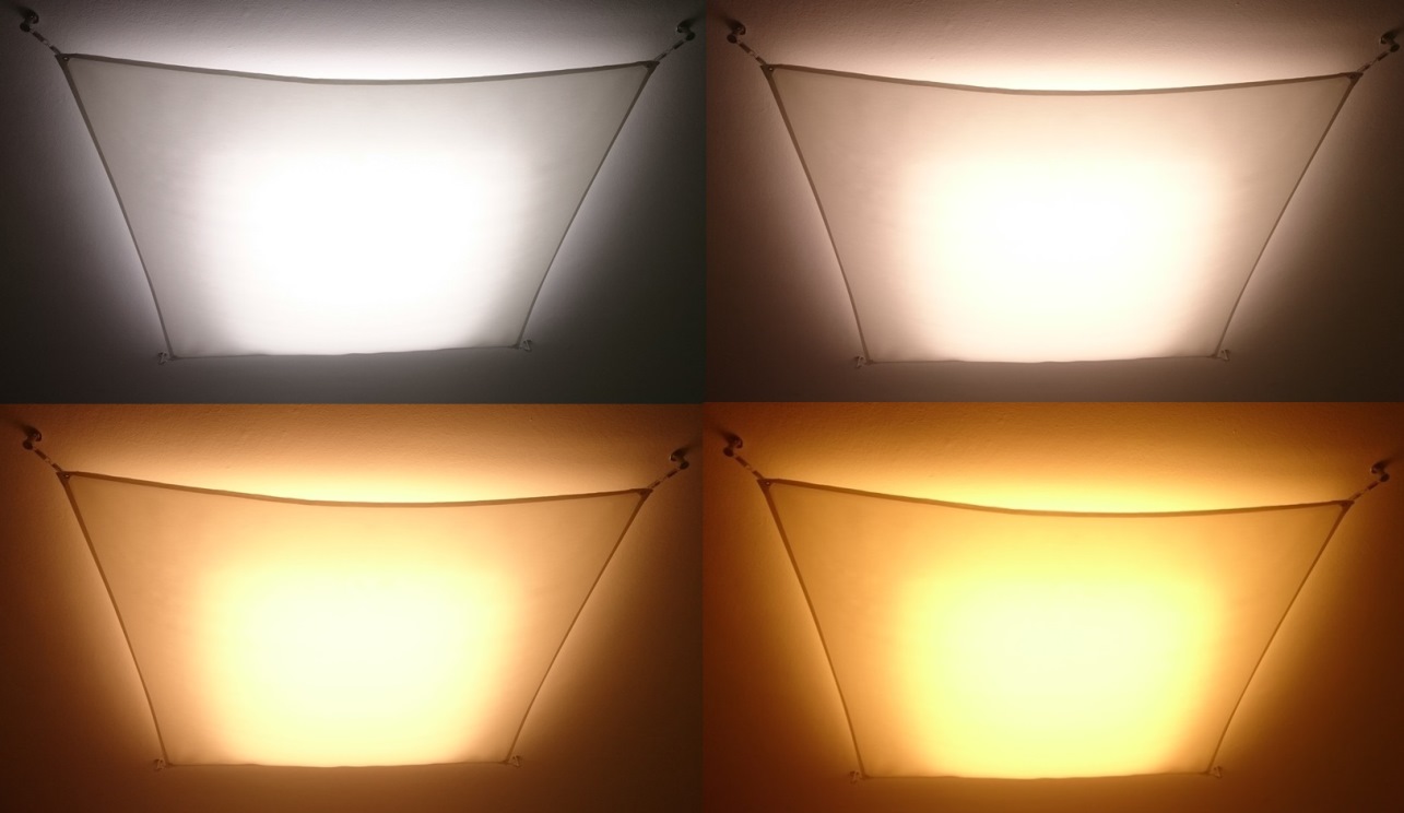 ujævnheder discolor i mellemtiden Warm White vs Cool White LED Lights, What Should You Pick