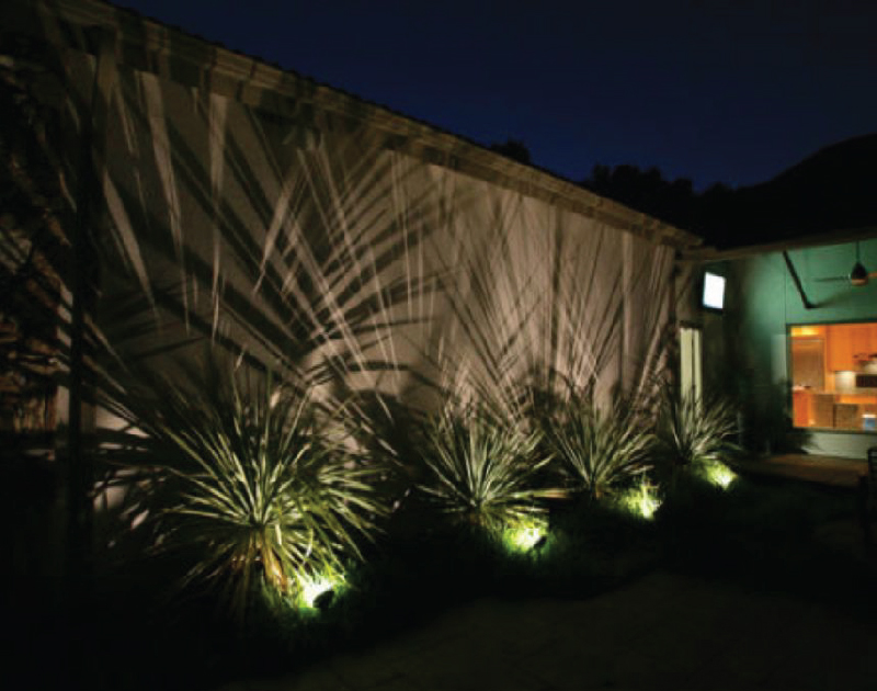 Garden Wall with Spike Lights