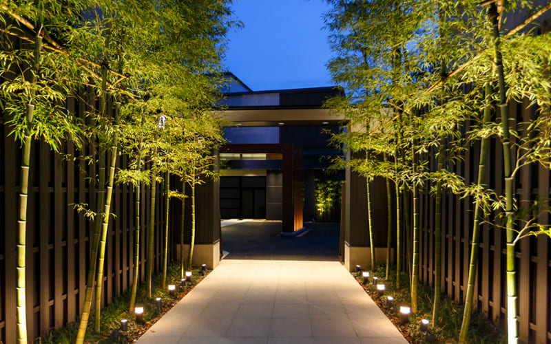 bamboo plants walkway with garden lights