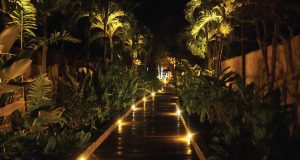 How to use lighting to set a mood in your garden