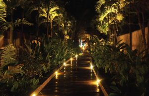 How to use lighting to set a mood in your garden