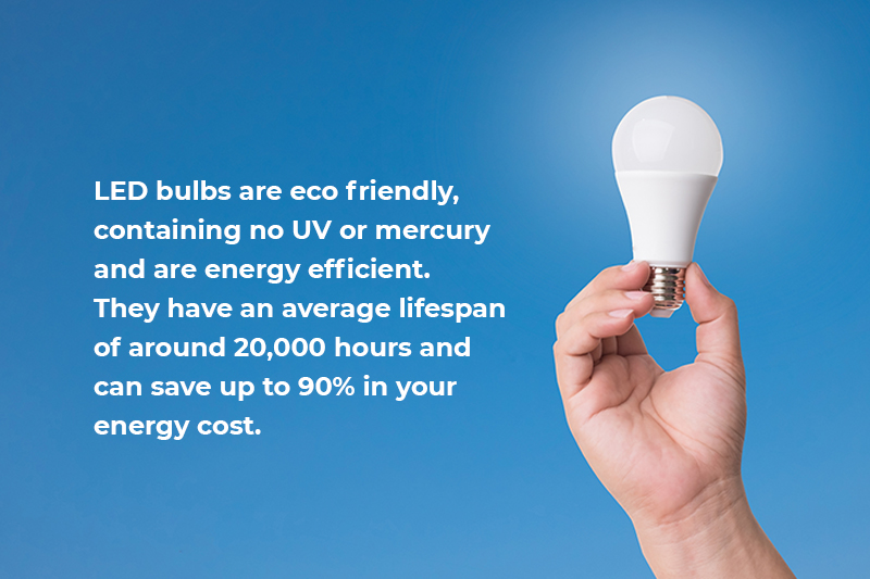 What is LED? Hand Holding LED Bulb