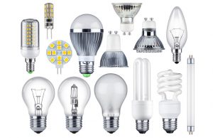 various led light bulbs and halogen/cfl bulbs