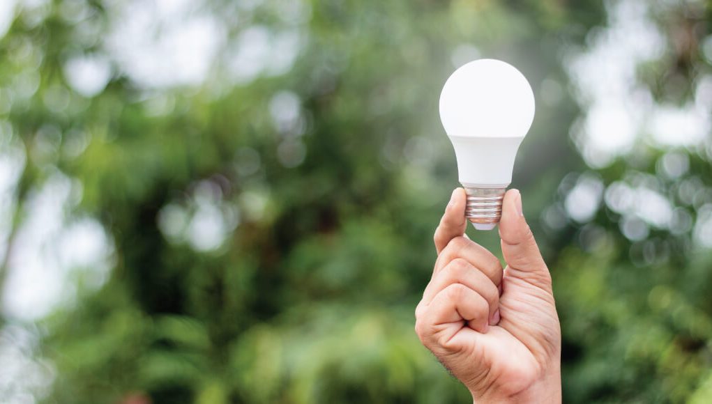 hand holding a light bulb