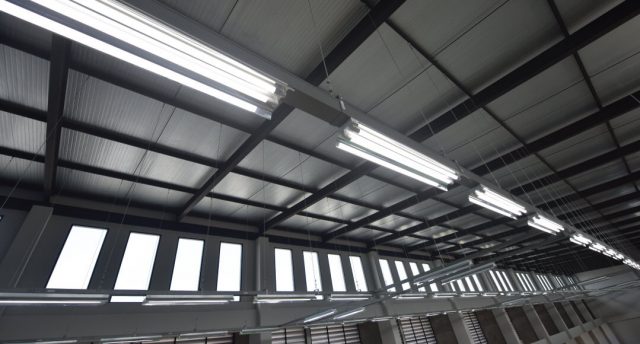 tube lights mounted on the ceiling