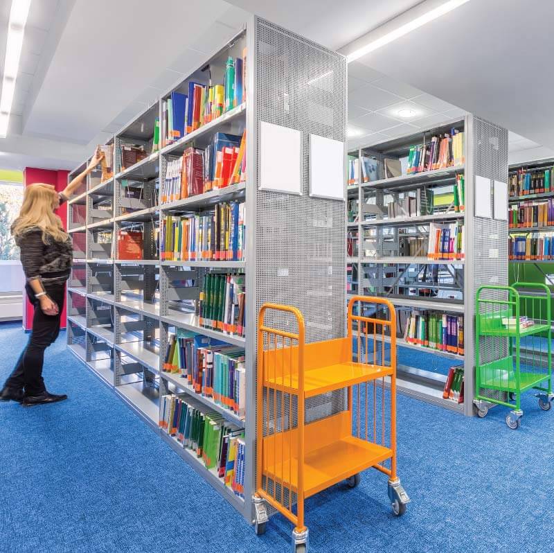 woman looking at the shelves of books