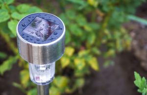 garden light with rain water