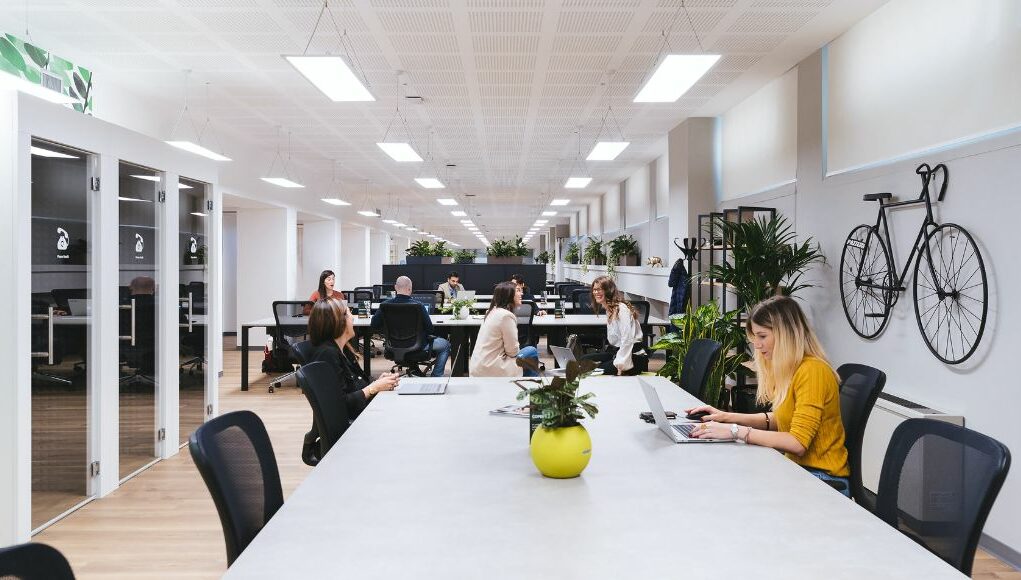 office with suspended LED panel lights