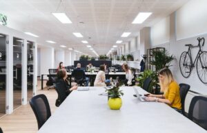 office with suspended LED panel lights