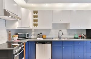 modern kitchen with blue cabinets