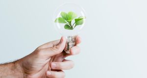 LED light bulb with plant inside