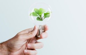 LED light bulb with plant inside