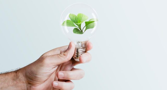 LED light bulb with plant inside