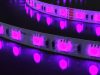 Purple LED strip light