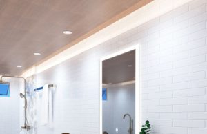 bathroom with wooden ceiling