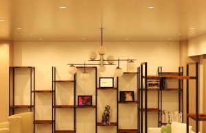 Living room display shelf illuminated by fire-rated LED downlights.