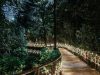 Garden pathway illuminated by LED landscape lighting.