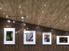 downlights in the bedroom with wooden ceiling