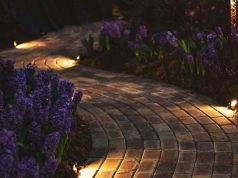 spike lights at the edge of the pavers