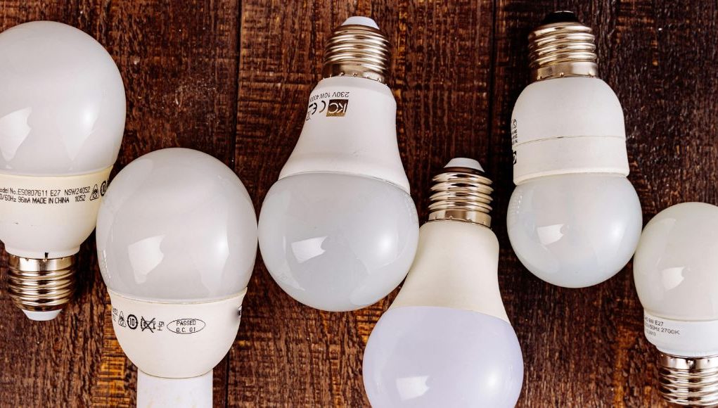 Light bulbs alternately lined up on a table with labels showing on some