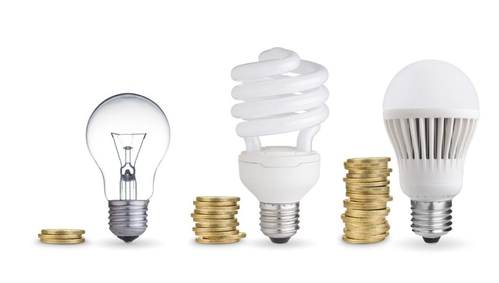 incandescent, CFL, and an LED bulb lined up with coins beside them.