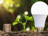 LED light bulb standing on soil side-by-side with a small plant and stacked coins.