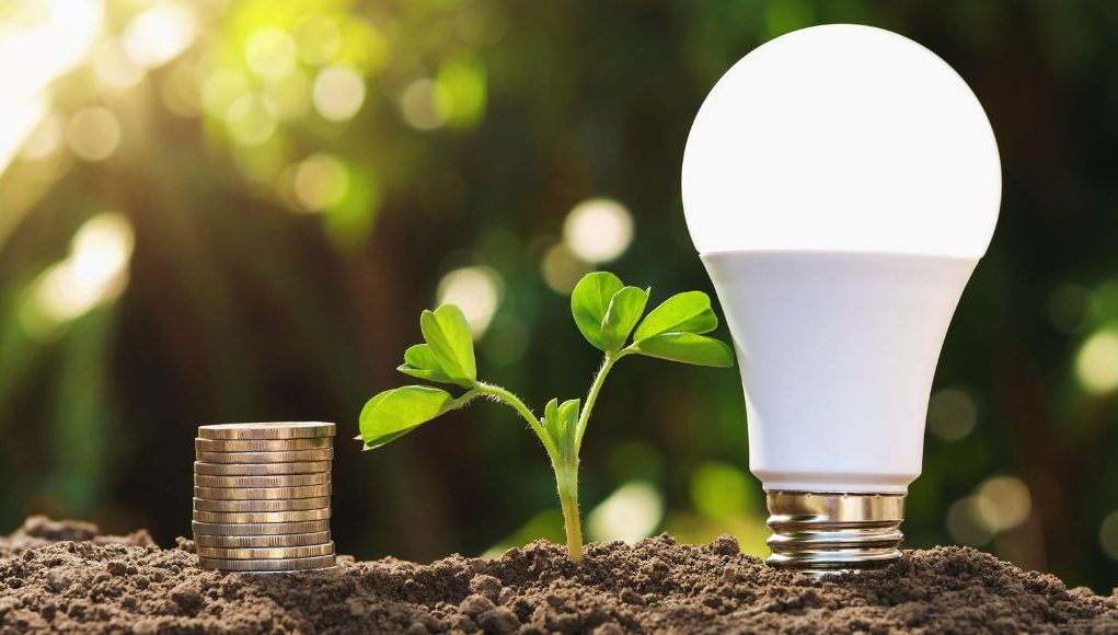 LED light bulb standing on soil side-by-side with a small plant and stacked coins.