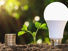 LED light bulb standing on soil side-by-side with a small plant and stacked coins.