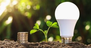 LED light bulb standing on soil side-by-side with a small plant and stacked coins.