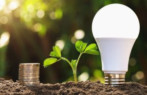 LED light bulb standing on soil side-by-side with a small plant and stacked coins.