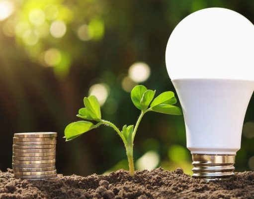 LED light bulb standing on soil side-by-side with a small plant and stacked coins.