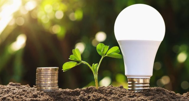 LED light bulb standing on soil side-by-side with a small plant and stacked coins.