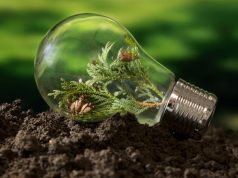 Light bulb on the ground with a plant growing inside.