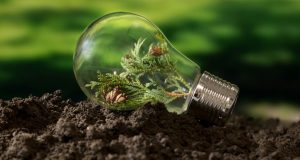 Light bulb on the ground with a plant growing inside.