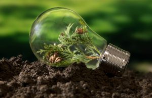 Recyclability of Lighting Products Light bulb on the ground with a plant growing inside.