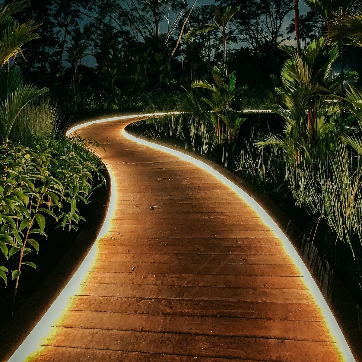 A winding wooden garden pathway illuminated on both sides with LED lights.