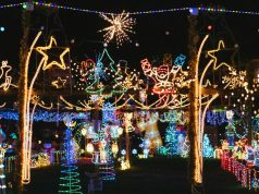 A lot of random glowing Christmas decorations outdoors.