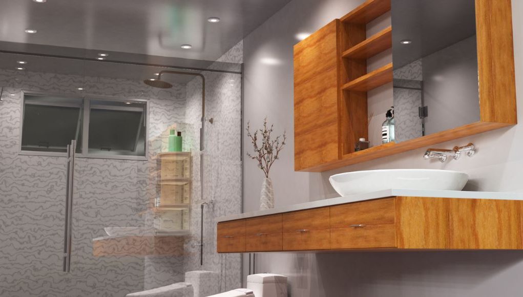 Small Bathroom 1 A sink-level image of a bathroom showing all the different bathroom fixtures and multiple LED downlights on the ceiling.