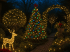 Outdoor Garden & Patio Christmas Lighting Using IP-Rated LED Strips A garden decorated for Christmas