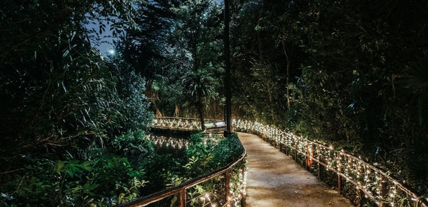 Then & Now: The Transformative Power of Landscape Lighting