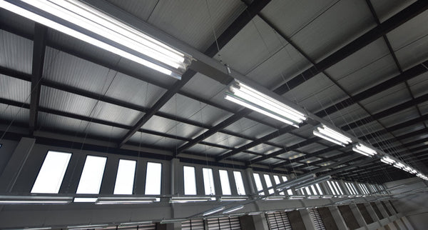 LED T8 Tubes: What are they?