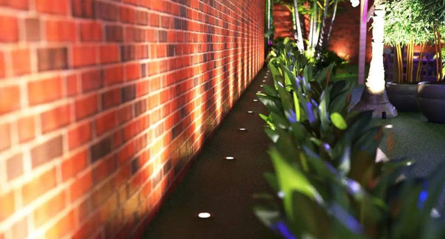 Garden illuminated by a line of ground lights