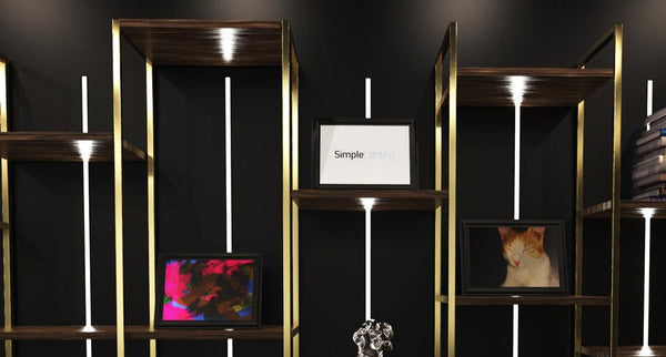 LEDs in shelves