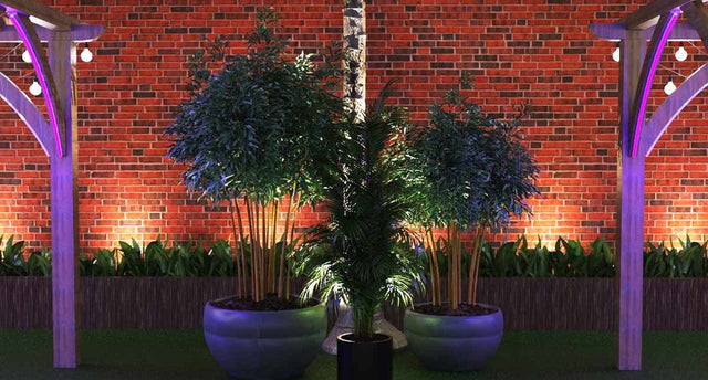 Properly lit garden