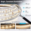 Simple Lighting - 120-5M - Infographics - Bright, Consistent Illumination