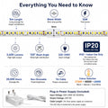 Simple Lighting - 120-5M - Infographics - Everything You Need to Know