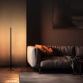 floor lamp with a dark setting