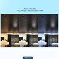 chrome LED downlight with power details