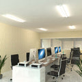 LED Batten light in the office