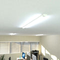 Slim 4ft, 40w LED Batten Light (cool white in office)